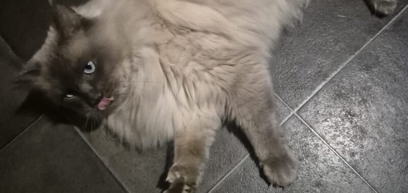 43e60416 fde8 43e9 bde1 a91730a8f218