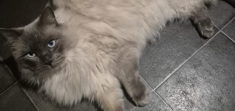 664688dd 5bec 40de 9609 58a60b63e1fd