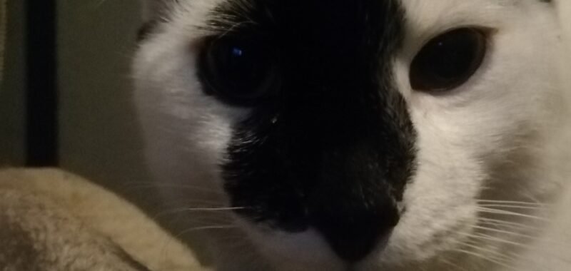 69de0714 38b7 4317 9f53 3caa8648664f 1 all 166