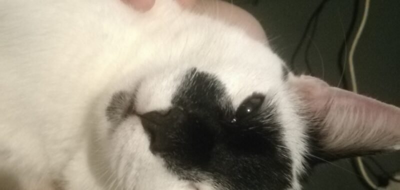 69de0714 38b7 4317 9f53 3caa8648664f 1 all 176