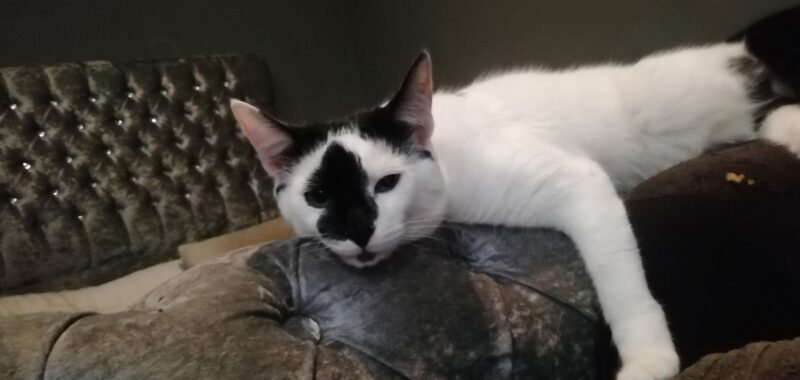 69de0714 38b7 4317 9f53 3caa8648664f 1 all 192