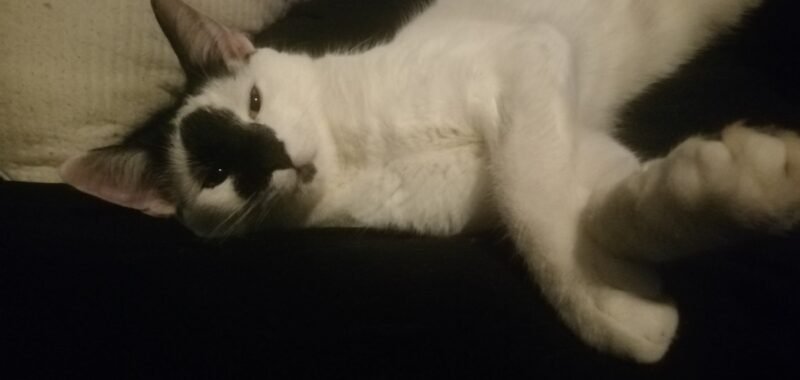 69de0714 38b7 4317 9f53 3caa8648664f 1 all 196