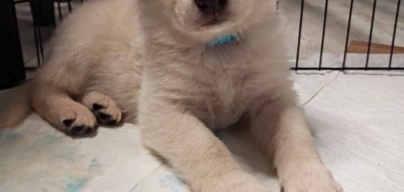 75f4f6a1 a1d1 462d 97bd 3f3eb05be533