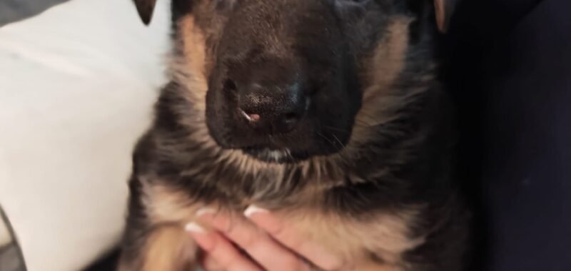 87019235 a188 44ac a6ab f33c2072e396