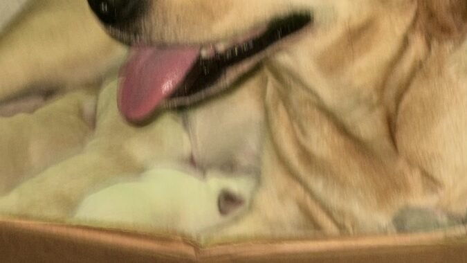 89F77D76 0F2C 4813 9FAE FF0E817F0472