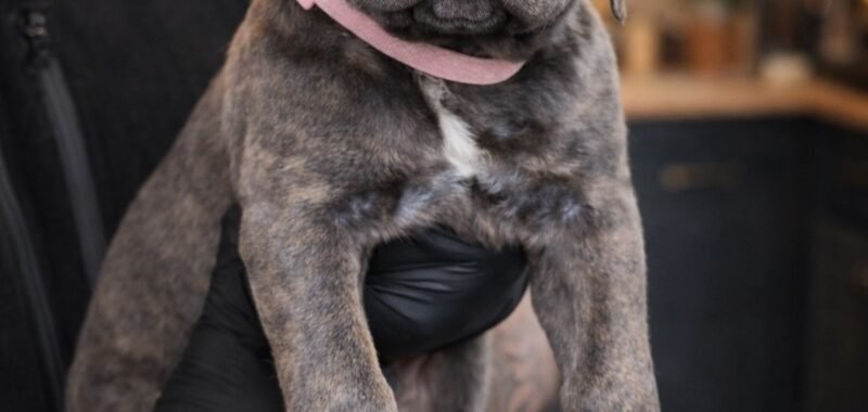 9D0CA55F 9A50 4EA1 A754 D645687A4AE1