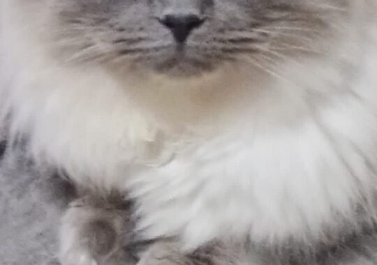 9c102d2f 400e 4385 b887 e3cced1273ae