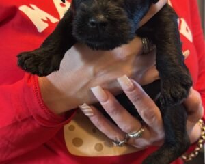 A73489B0 FC08 4B75 B9BE 8EEC6C9314B8