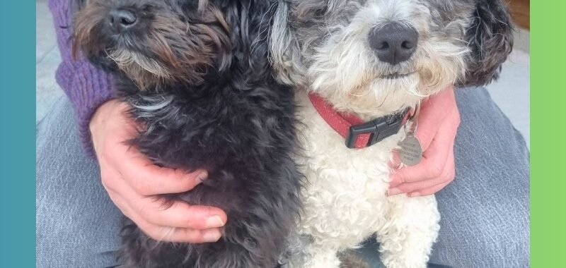 Add a little bit of body text 2026 01 31T101634.698