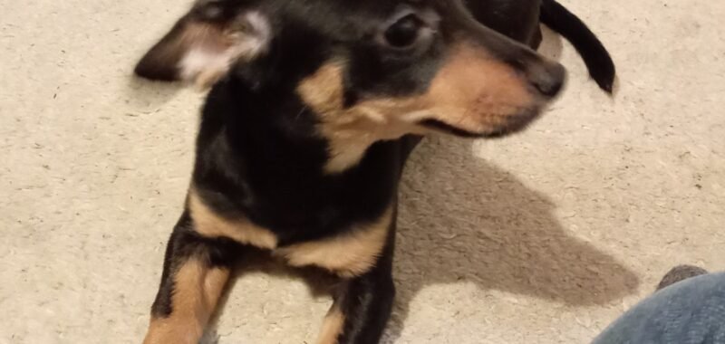 IMG 20260127 185646 edit 245376709473931