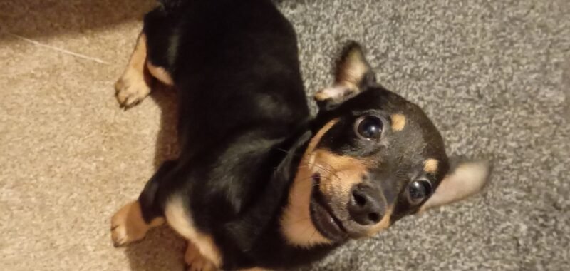 IMG 20260127 190154 edit 245321021093389