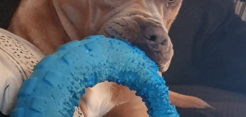 Screenshot 20220126 161053 WhatsApp