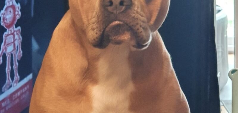 Screenshot 20221111 160936 Gallery