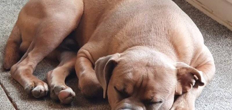 Screenshot 20221111 161110 Gallery