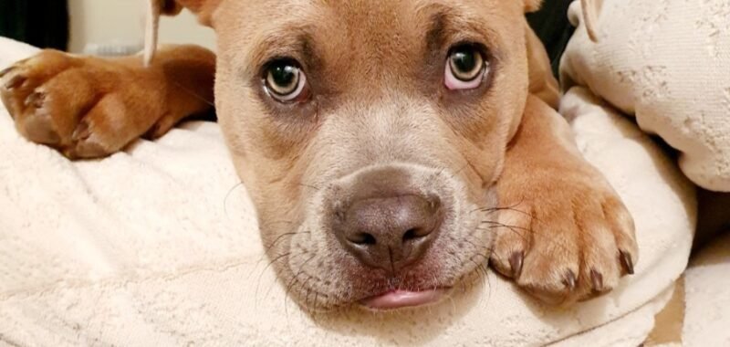 Screenshot 20221111 161322 Gallery