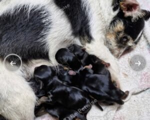 Screenshot 20260124 103617 Gallery