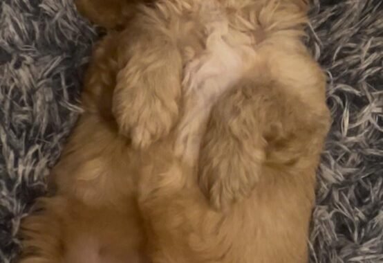 b06d7bd7 1123 4cff ad75 2f3eb07c88bf