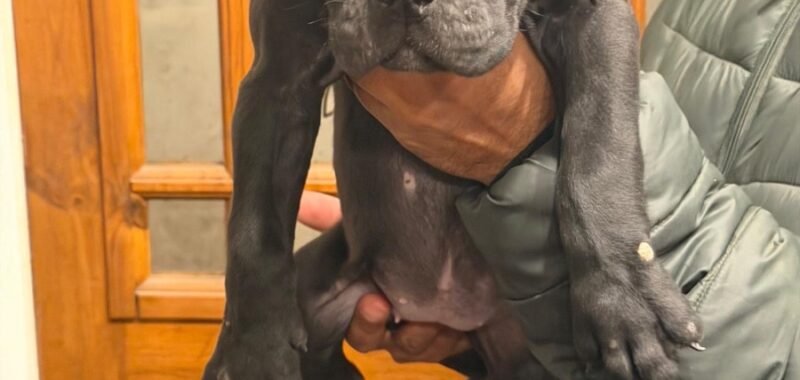 b886542a b26a 404f b98c 7fc4bbeb6e1f