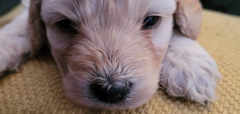 c2ce60e2 9454 4aed be76 d2c8c9a2ff35