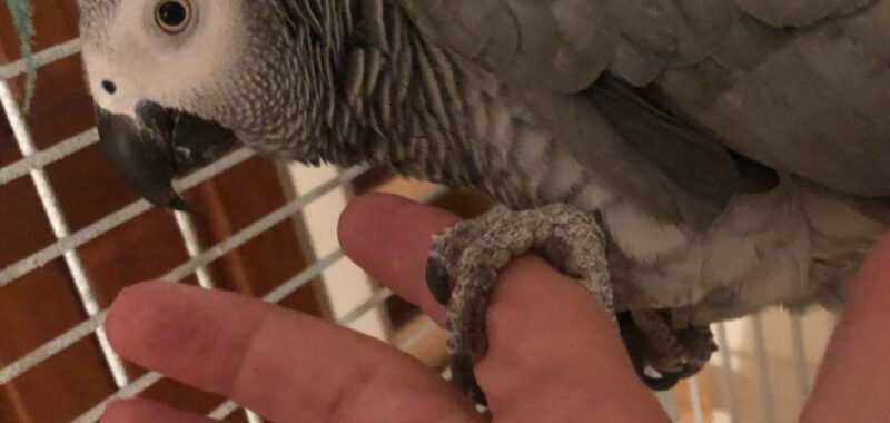 e2fec8f37803a0fa1d478458e04e6529