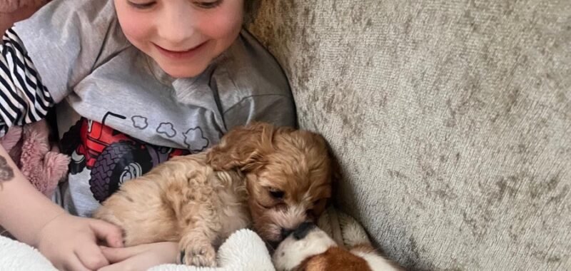 ebc84f85 57ba 4b9a b401 dd173c4037f1