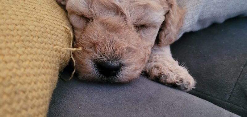 ff3ebaf9 164f 4831 9da6 ca9321224d43