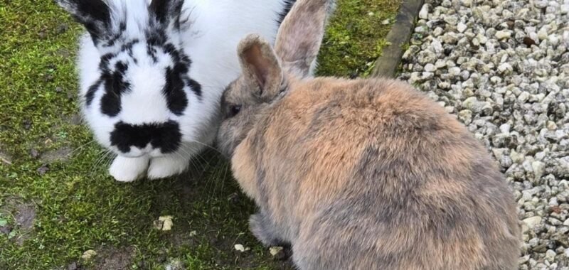 06ba7165 31d2 4381 ad85 9c0f6b91e2e7