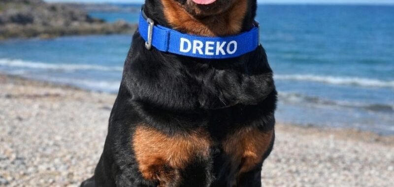 1120e500 5e68 4e85 b3bf fc4081075565