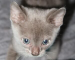 2804eaaa edf1 4264 a0db 79a8b91e763c