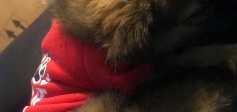 48FFAAE1 6AB2 4183 8C22 FBB4A81B2542