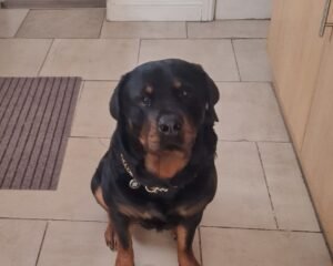 64b5ddf4 32c3 4c85 a31d 9b3487c67636 1 all 36594