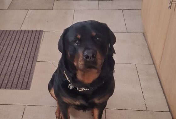 64b5ddf4 32c3 4c85 a31d 9b3487c67636 1 all 36594