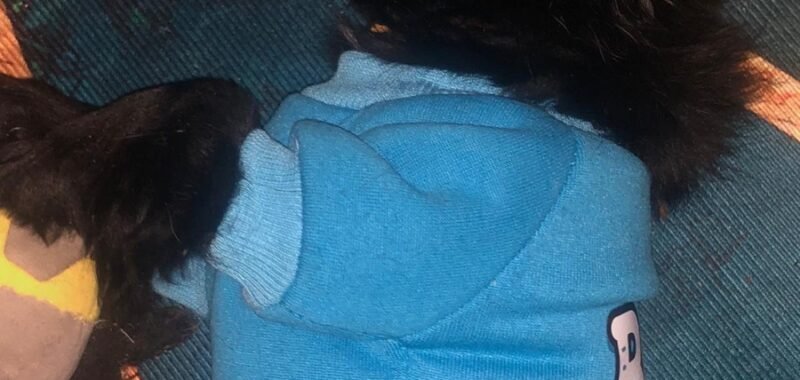 72F26A48 DB97 4BA8 8EFE B7D1528EBCB8