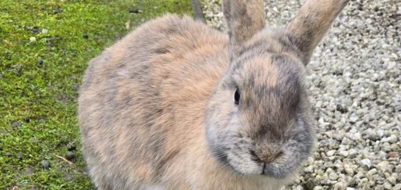 9e97db1d 9719 4dd9 959f 12e7696b0eee