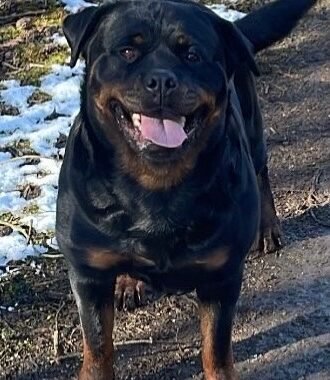 AD1817FD E4EE 48FB B4FD B0FDAEB3398F