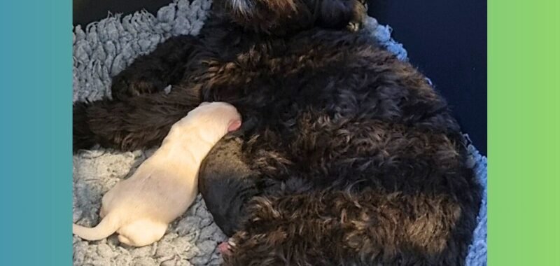 Add a little bit of body text 2026 02 07T141640.159