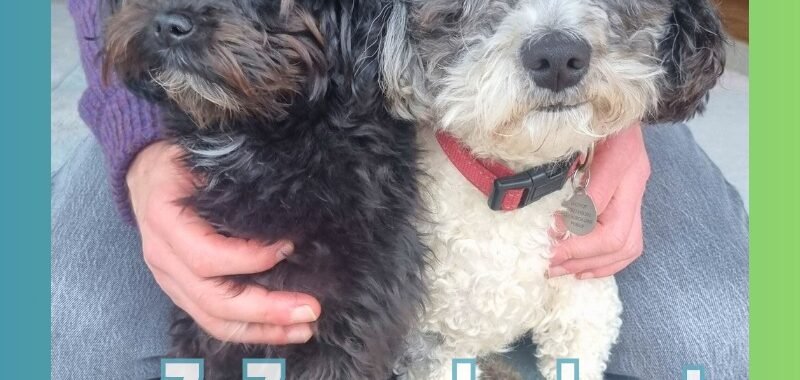 Add a little bit of body text 2026 02 07T141731.992