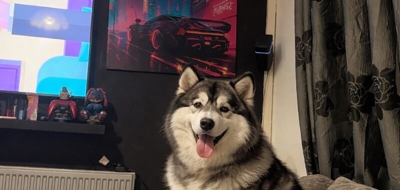 DA433B0D 3CBF 4B55 971B 713C2BC1C284