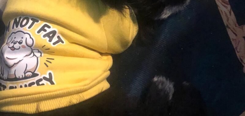 EF36D871 5DA0 4A58 9C0E 8E1231839989