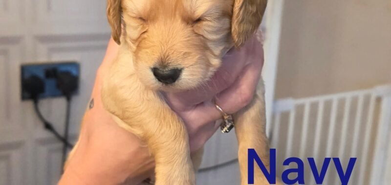 InCollage 20260126 141105724