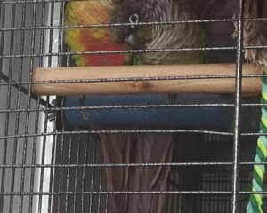 Messenger creation A900A794 49BD 41A9 A784 55E7CA3CA1F5