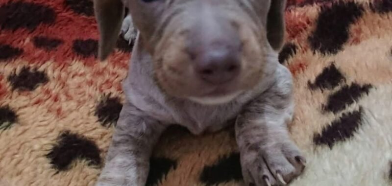 Screenshot 20260115 1517502