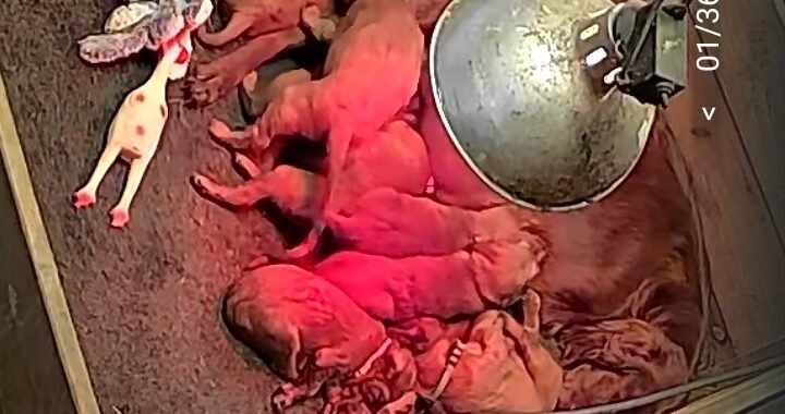 Screenshot 20260115 135156 Tapo