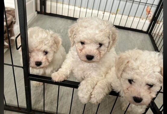 Screenshot 20260119 211339 OneDrive