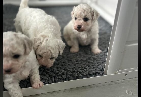 Screenshot 20260119 211413 OneDrive