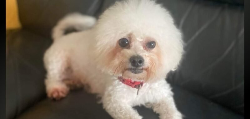 Screenshot 20260119 211549 OneDrive