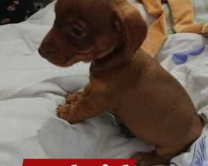 Screenshot 20260121 1912222