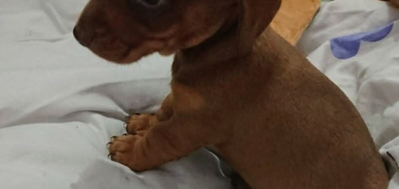 Screenshot 20260121 1912222