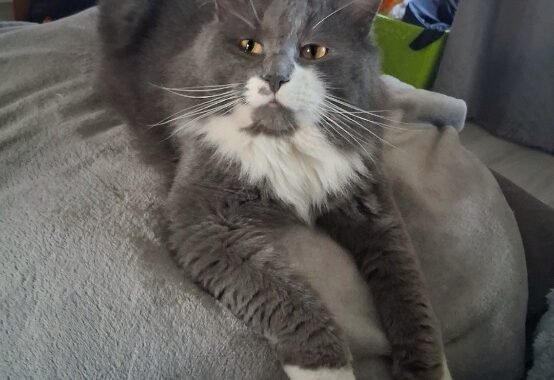 Screenshot 20260207 150108 Gallery