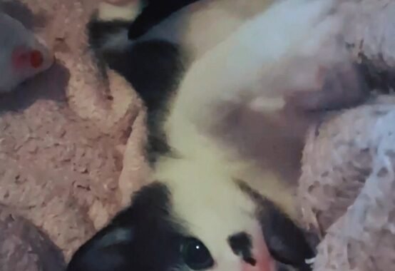 Screenshot 20260218 161545 Video Player